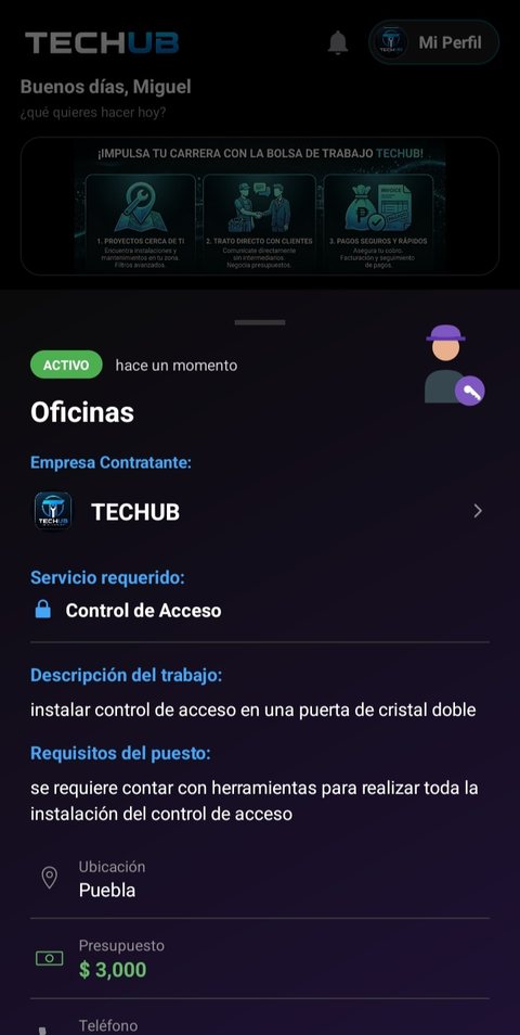 Detalle de una publicación de trabajo en Techub